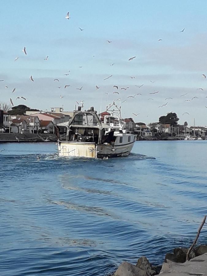 Studio A La Mer Lejlighed Le Grau-dʼAgde Eksteriør billede